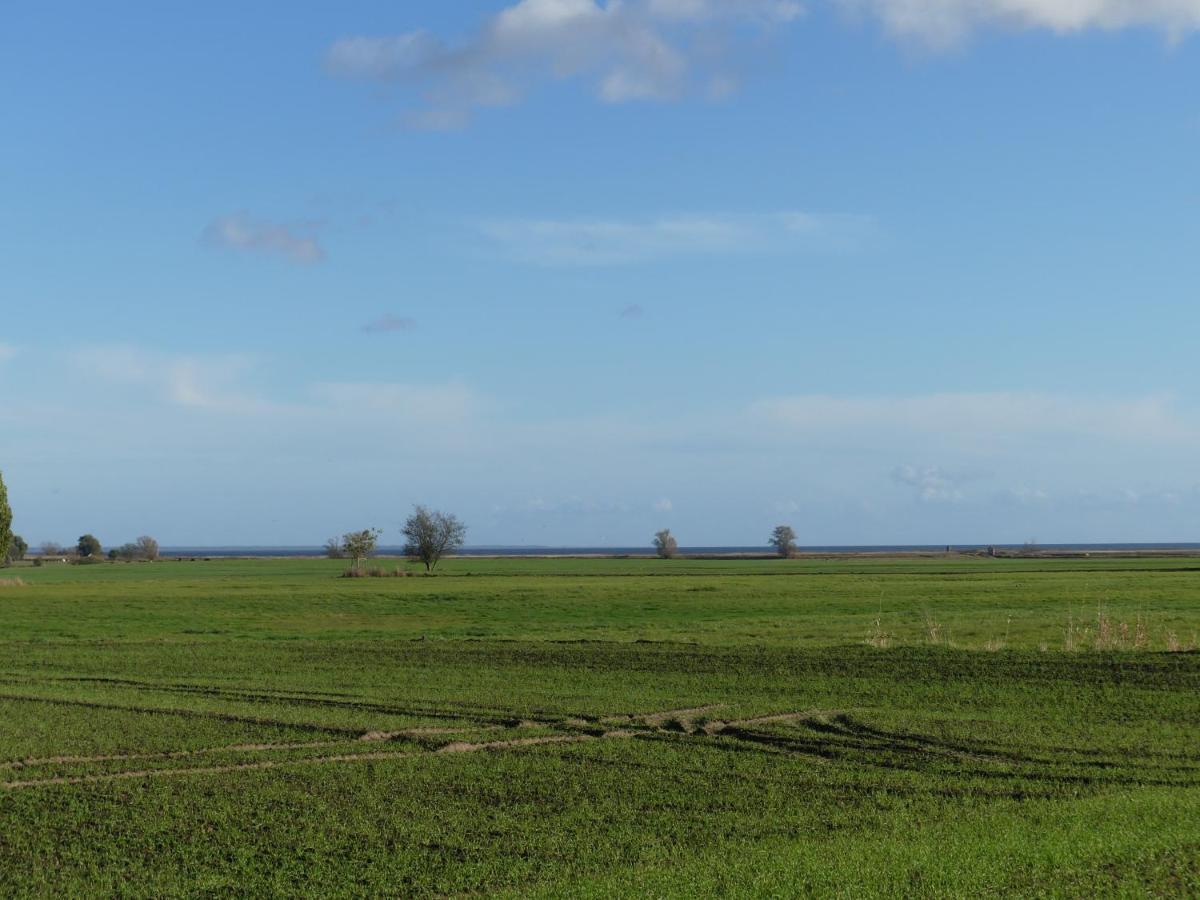 Landhaus Am Haff Stolpe auf Usedom المظهر الخارجي الصورة