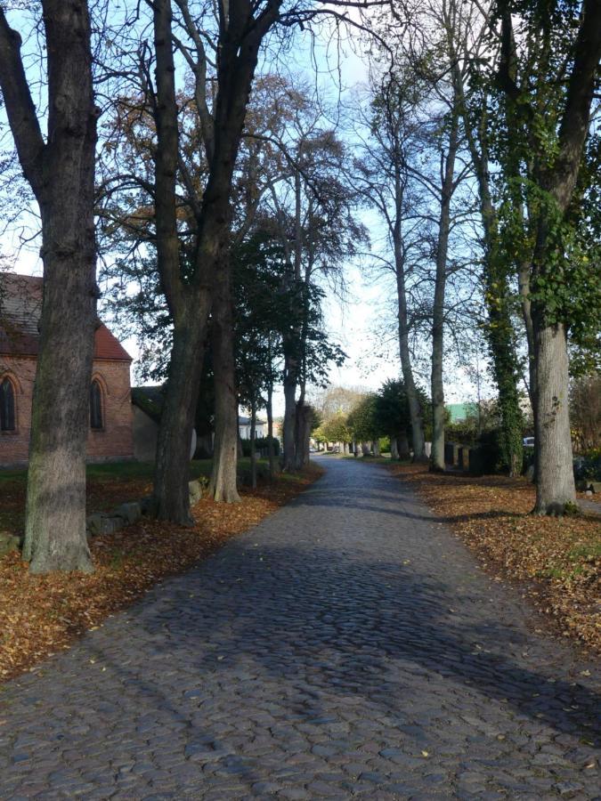 Landhaus Am Haff Stolpe auf Usedom المظهر الخارجي الصورة