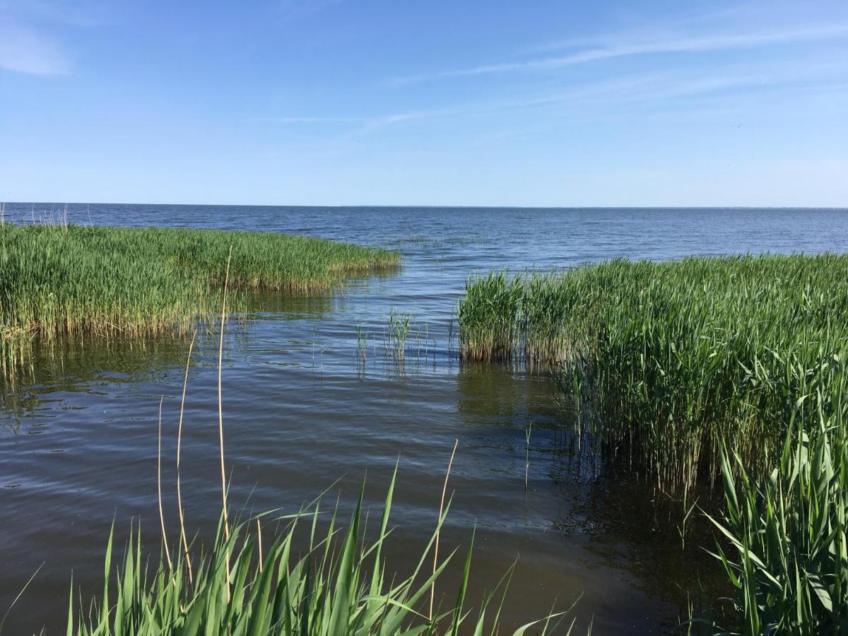 Landhaus Am Haff Stolpe auf Usedom المظهر الخارجي الصورة