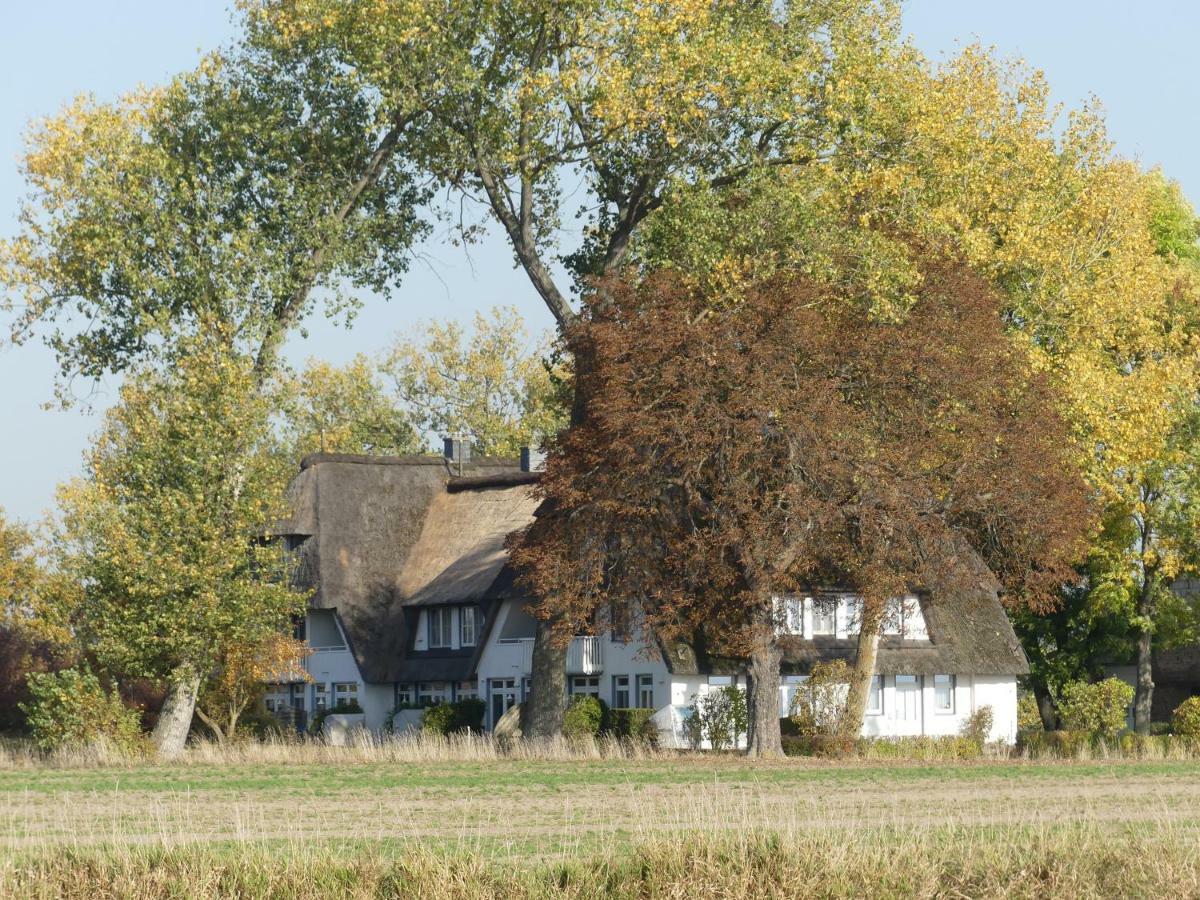 Landhaus Am Haff Stolpe auf Usedom المظهر الخارجي الصورة